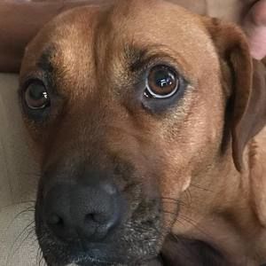 Meet your Posher, Thomas